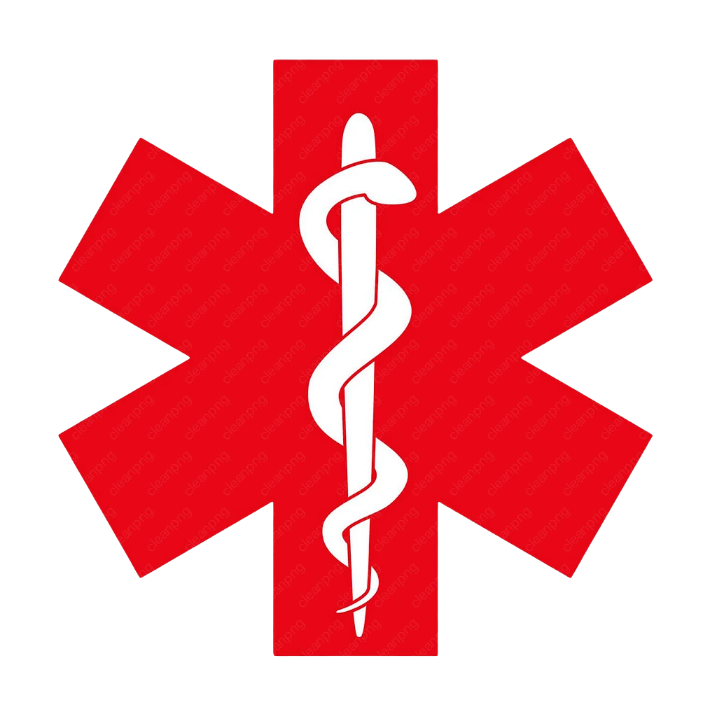 ЈЗУ Здравствен Дом Виница